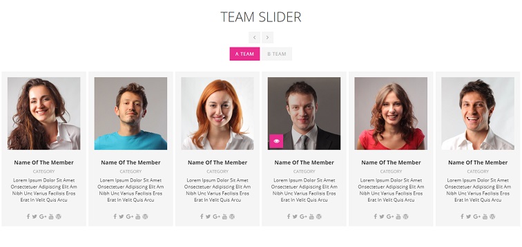 team_slider